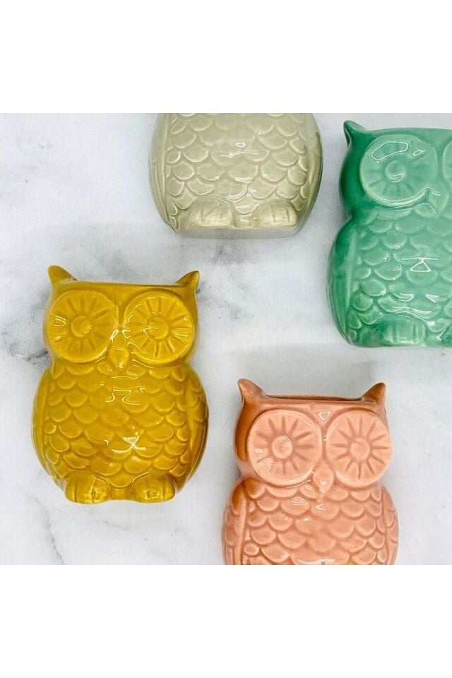 Mıknatıslı Mini Baykuş Saksı