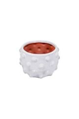 Noktalı Terracotta Saksı & Vazo