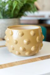 Terra Cotta Saksılık