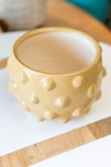 Terra Cotta Saksılık