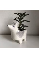 Köpek Saksılık