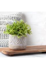 Bej Desenli  Terracotta Saksılık