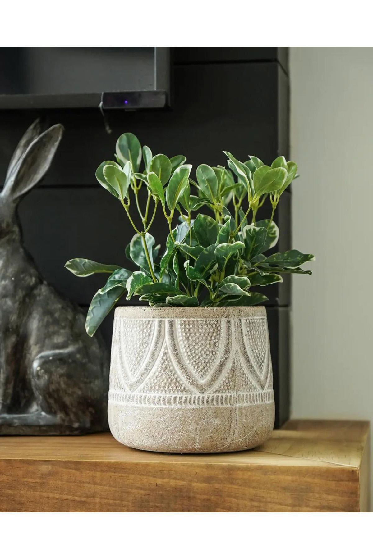 Bej Desenli  Terracotta Saksılık