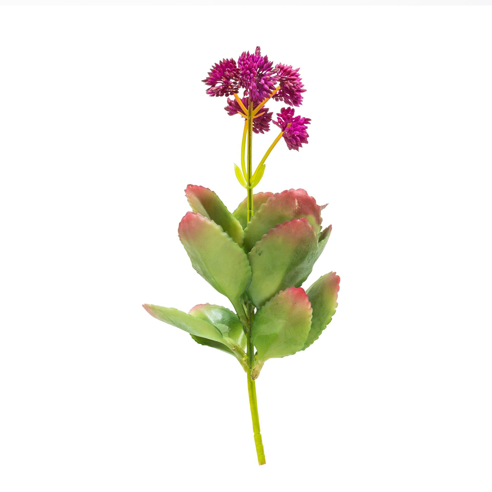 Yapay Adenium Obesum